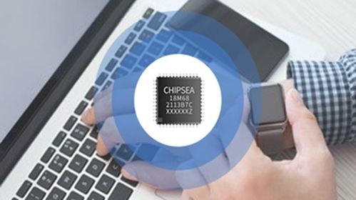 芯海科技 下游需求旺盛,存在不能完全保證產(chǎn)品及時供應(yīng)的風(fēng)險(xiǎn)